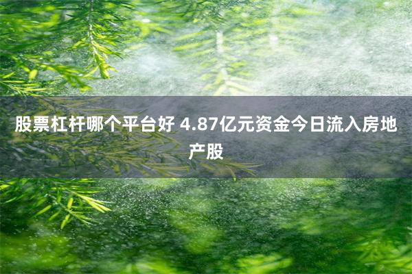 股票杠杆哪个平台好 4.87亿元资金今日流入房地产股