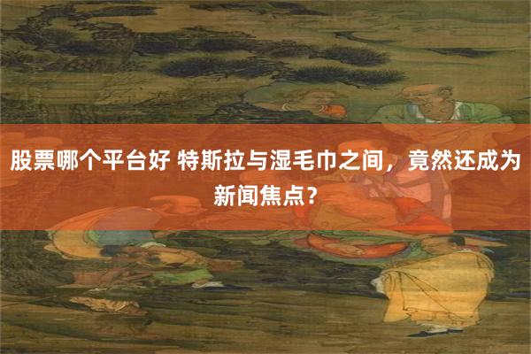 股票哪个平台好 特斯拉与湿毛巾之间，竟然还成为新闻焦点？