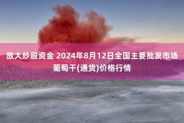 放大炒股资金 2024年8月12日全国主要批发市场葡萄干(通货)价格行情