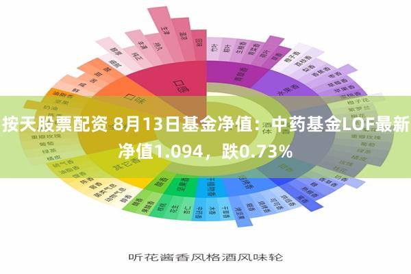 按天股票配资 8月13日基金净值：中药基金LOF最新净值1.094，跌0.73%