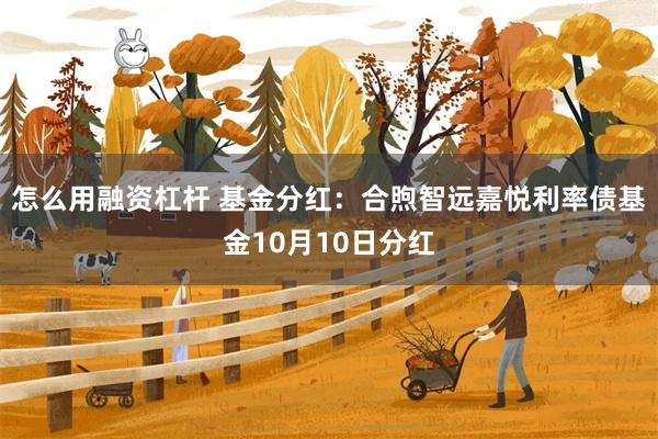 怎么用融资杠杆 基金分红：合煦智远嘉悦利率债基金10月10日分红