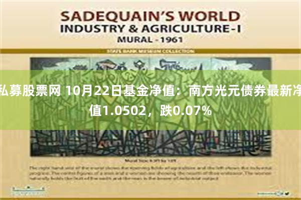 私募股票网 10月22日基金净值：南方光元债券最新净值1.0502，跌0.07%