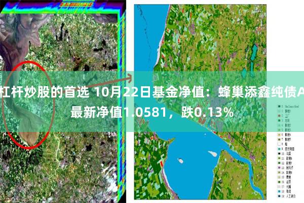 杠杆炒股的首选 10月22日基金净值：蜂巢添鑫纯债A最新净值1.0581，跌0.13%