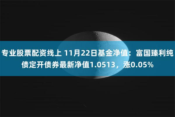 专业股票配资线上 11月22日基金净值：富国臻利纯债定开债券最新净值1.0513，涨0.05%