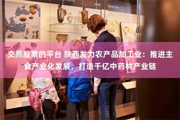 交易股票的平台 陕西发力农产品加工业：推进主食产业化发展，打造千亿中药材产业链