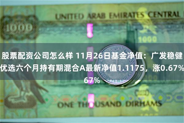 股票配资公司怎么样 11月26日基金净值：广发稳健优选六个月持有期混合A最新净值1.1175，涨0.67%