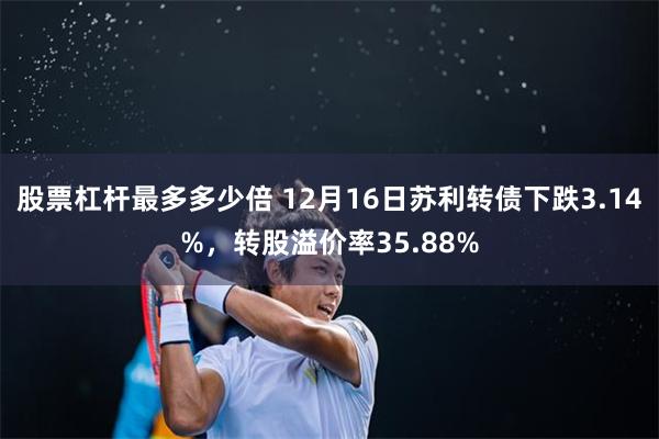 股票杠杆最多多少倍 12月16日苏利转债下跌3.14%，转股溢价率35.88%