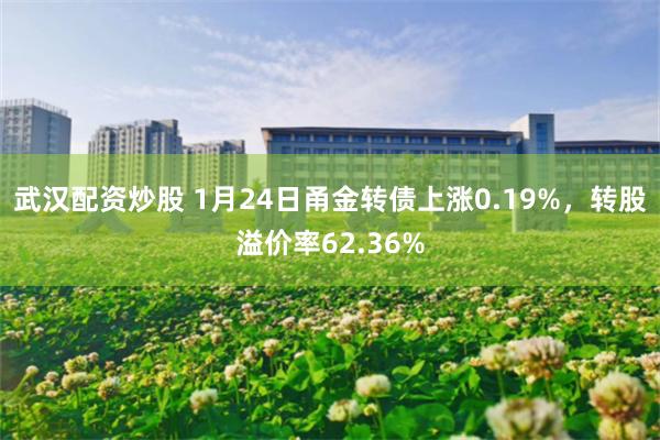 武汉配资炒股 1月24日甬金转债上涨0.19%，转股溢价率62.36%