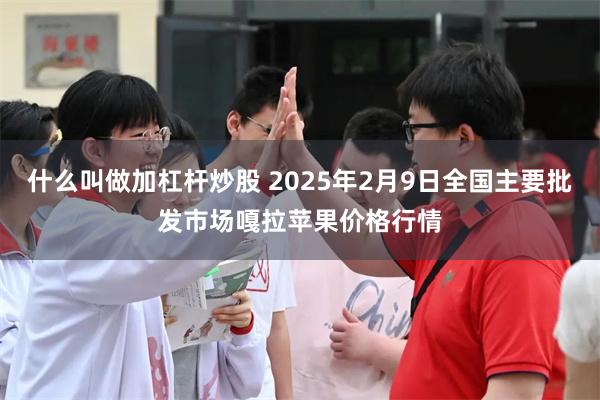 什么叫做加杠杆炒股 2025年2月9日全国主要批发市场嘎拉苹果价格行情