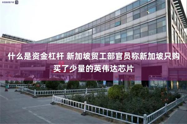 什么是资金杠杆 新加坡贸工部官员称新加坡只购买了少量的英伟达芯片